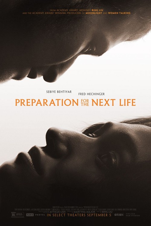 Preparation for the Next Life poster