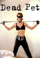 Dead Pet poster image