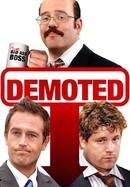 Demoted poster image
