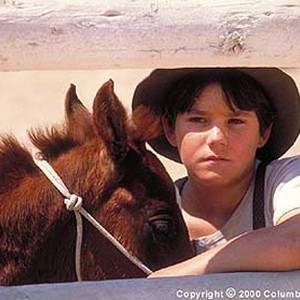 With the help of his companion and caretaker, Richard (Chase Moore), Lucky (voiced by Lukas Haas) grows from an awkward colt into a magnificent stallion and triumphs against his harsh surroundings. photo 17