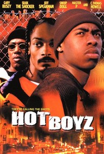 Poster for Hot Boyz