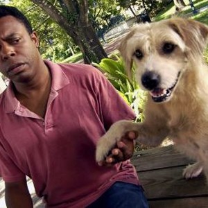 Lenny the Wonder Dog (2004) photo 4