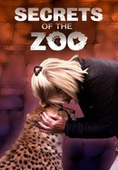 Secrets of the Zoo poster image