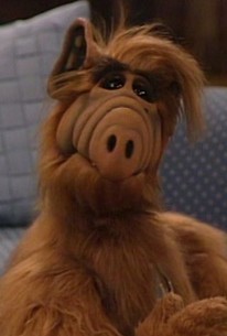 ALF: Season 2, Episode 6 - Rotten Tomatoes