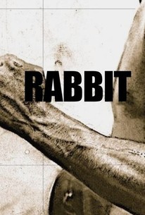 Watch trailer for Rabbit