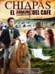 Chiapas el corazón del café