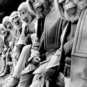 Battle for the Planet of the Apes (1973) photo 3