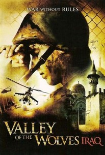 Poster for Valley of the Wolves: Iraq