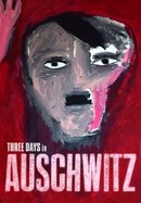 Three Days in Auschwitz poster image