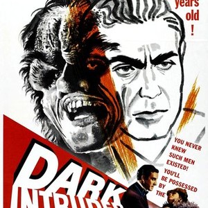 Dark Intruder photo 8