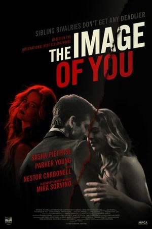 The Image of You poster