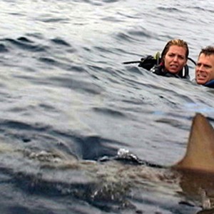 Blanchard Ryan and Daniel Travis in Open Water. photo 7