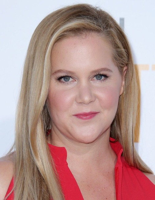 Amy Schumer Rotten Tomatoes