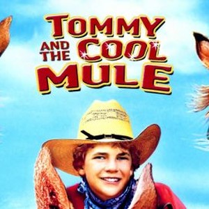 Tommy and the Cool Mule photo 7