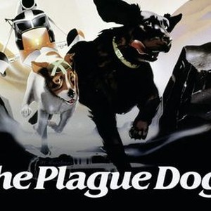 The Plague Dogs photo 4