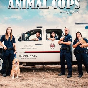 Animal Cops: Detroit: Season 20, Episode 5 - Rotten Tomatoes