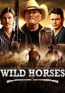 Wild Horses poster image