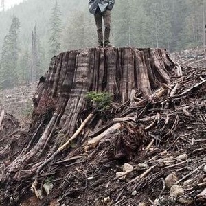 If a Tree Falls: A Story of the Earth Liberation Front (2011) photo 5