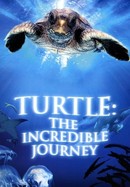 Turtle: The Incredible Journey poster image