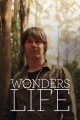 Wonders of Life