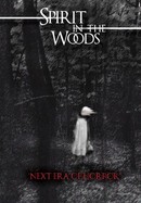 Spirit in the Woods poster image