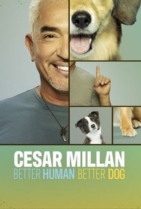 Cesar millan hot sale new show