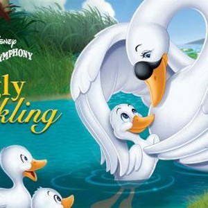 Ugly Duckling photo 7