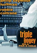 Triple Bogey on a Par 5 Hole poster image
