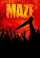 The Maze poster image