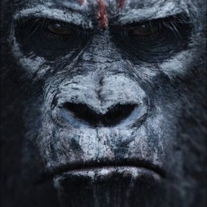 Dawn of the Planet of the Apes Rotten Tomatoes