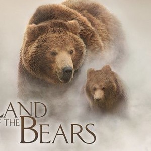 No Bears - Rotten Tomatoes