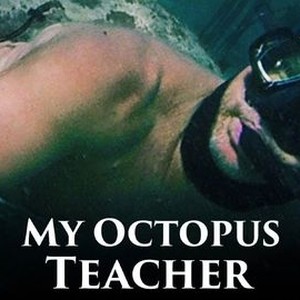 "My Octopus Teacher photo 4"