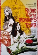 Blood From the Mummy's Tomb poster image