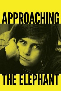 Poster for Approaching the Elephant