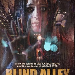 Blind Alley (2011) photo 10