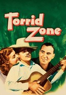 Torrid Zone poster image