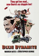 Dixie Dynamite poster image
