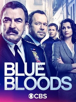 Blue bloods season 9 netflix deals
