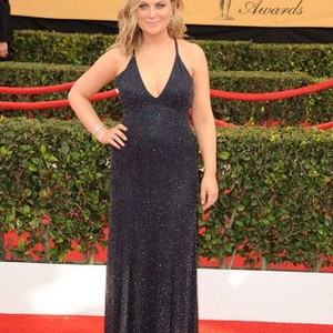 Amy Poehler at arrivals for 21st Annual Screen Actors Guild Awards (SAG) - Arrivals 2, The Shrine Exposition Center, Los Angeles, CA January 25, 2015. Photo By: Dee Cercone/Everett Collection