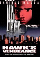 Hawk's Vengeance poster image