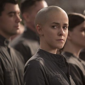 The Hunger Games: Mockingjay, Part 2 - Rotten Tomatoes