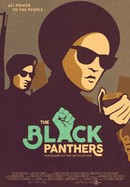 The Black Panthers: Vanguard of the Revolution poster image