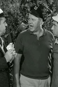 Gilligan S Island Season 1 Episode 16 Rotten Tomatoes gilligan s island season 1 episode 16
