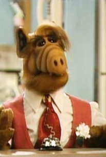 Alf - Season 2 Episode 10 - Rotten Tomatoes