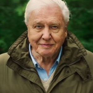 David Attenborough: A Life on Our Planet (2020) photo 5