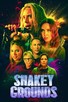 Poster for