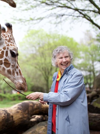 DVD The Woman Who Loves Giraffes (2019) NEW 738329245986| eBay