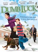 Dumb Luck poster image