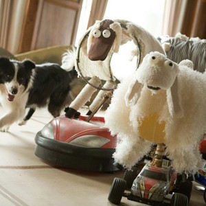 "Hotel for Dogs photo 5"
