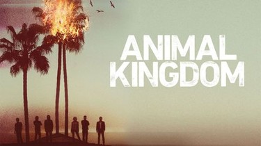 Animal Kingdom Season 1 Rotten Tomatoes